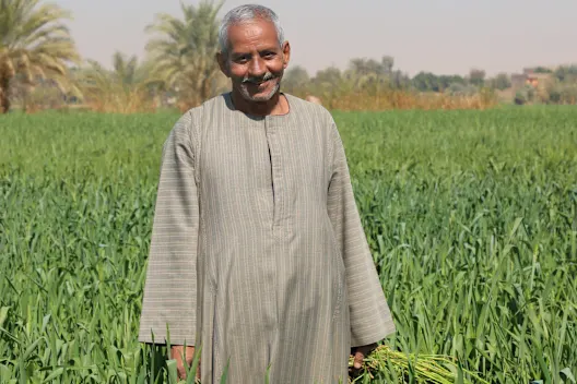 Egypt: Support sustainable farming